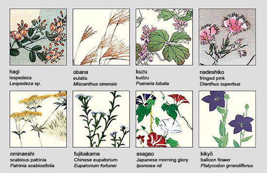 Eight Autumn Flowers